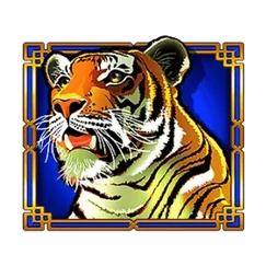 Tiger symbol on the Dragon Link pokie reels